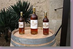 Marathon de Sauternes 01 385 * 680 x 453 * (134KB)